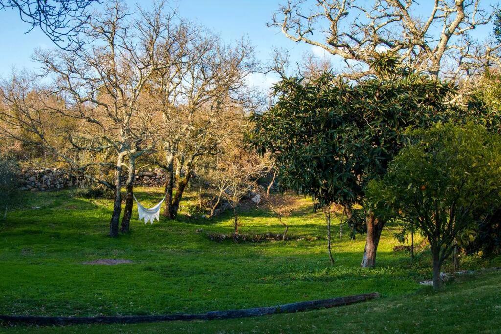 Casa Do Vale Do Papo Villa Помбал Екстериор снимка